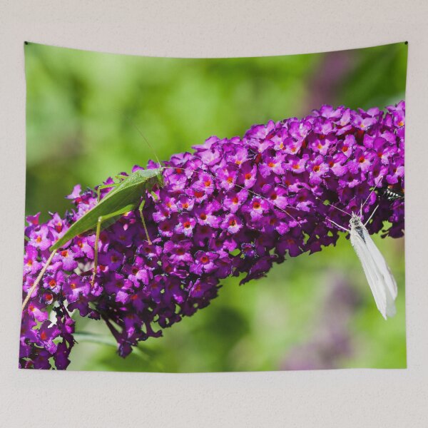 Item preview, katydid energy designed and sold by blacqbook.
