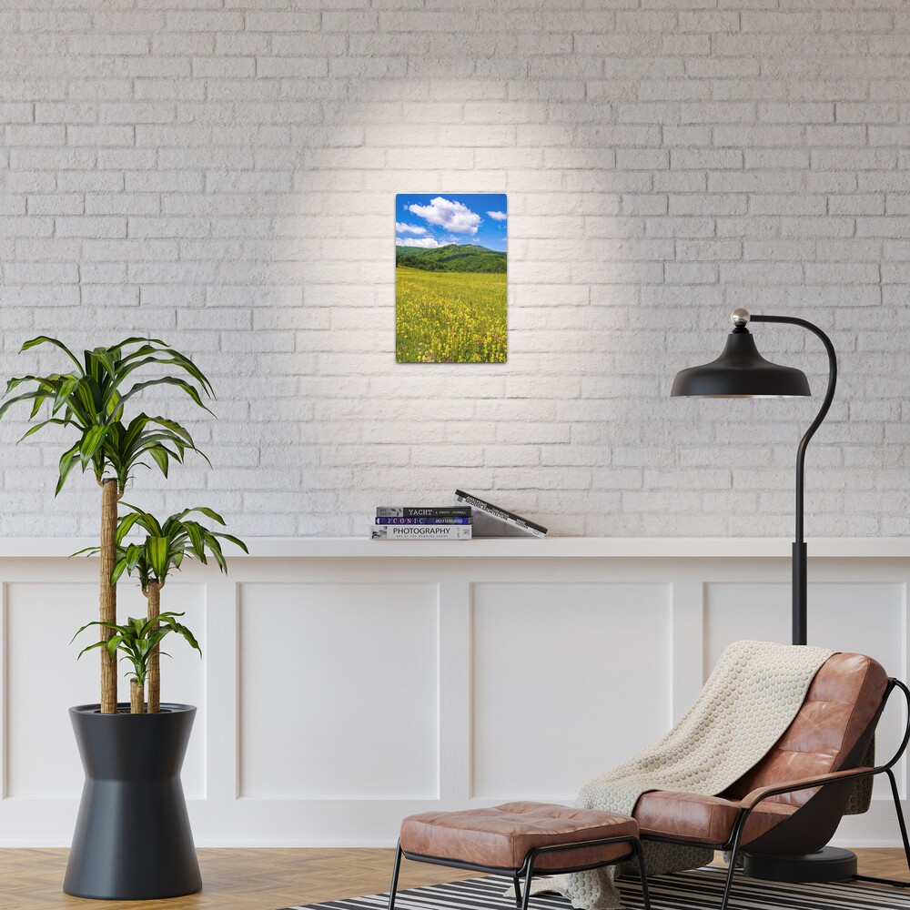 Item preview, Metal Print designed and sold by mike-pellinni.