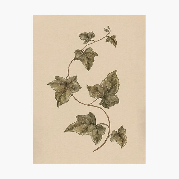 Item preview, Dark Academia Vintage Botanical Vines designed and sold by Freshfroot.