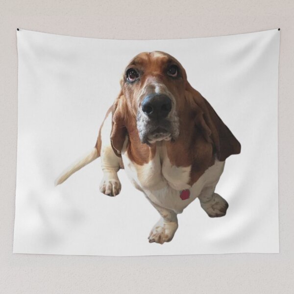 Item preview, Basset Hound Lover designed and sold by rainydews.