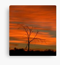 Sunrise today Canvas Print