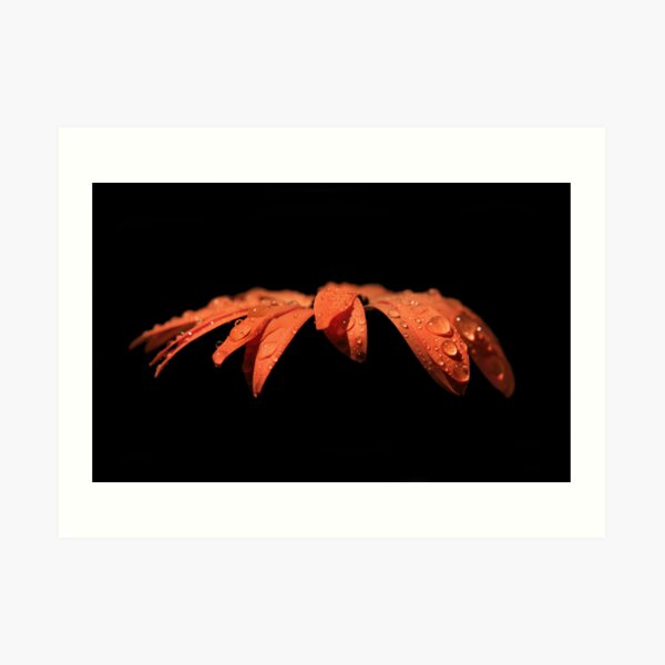Juicy Art Print