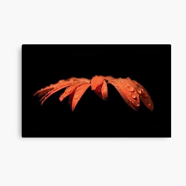 Juicy Canvas Print