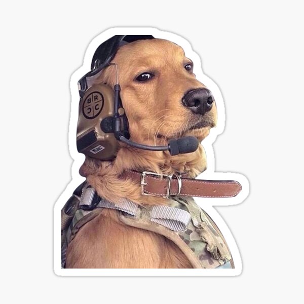 Item preview, Funny Aviation Dog Pilot Meme designed and sold by avionbubble.