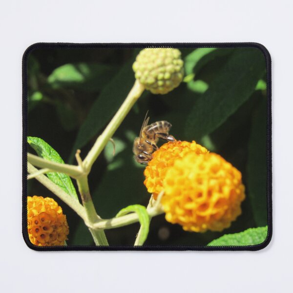 Item preview, Round Headed Buddleia designed and sold by WildandDivine.