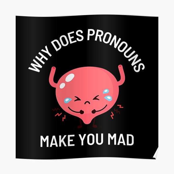 why-do-pronouns-make-you-mad-poster-for-sale-by-pixelish-redbubble