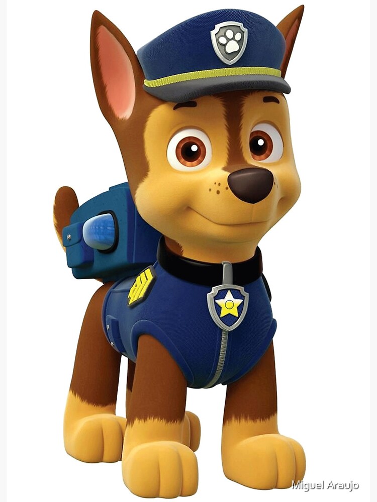 Paw Patrol Verfolgungsjagd