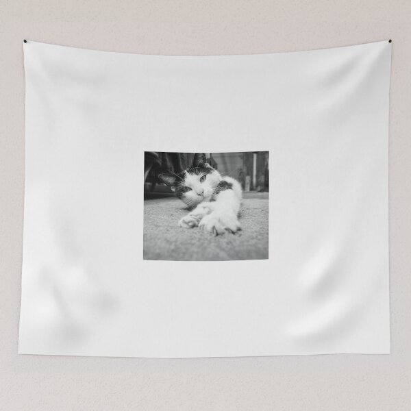 Item preview, Will you play with me? designed and sold by Beverley Goodwin.