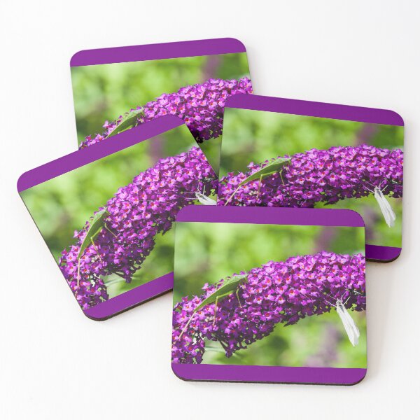 Item preview, katydid energy designed and sold by blacqbook.