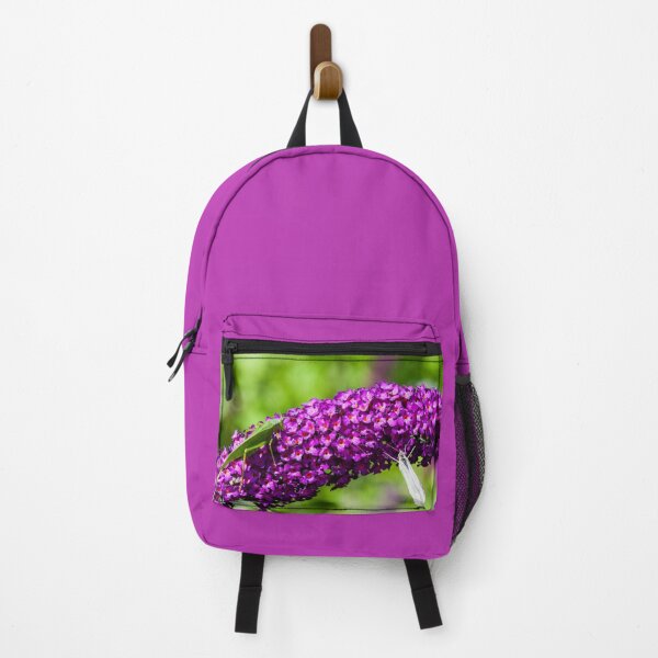 Item preview, katydid energy designed and sold by blacqbook.
