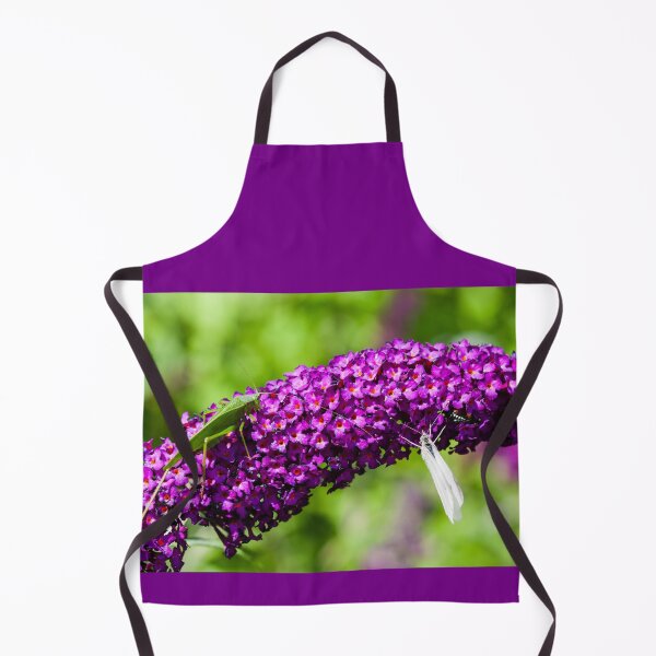 Item preview, katydid energy designed and sold by blacqbook.