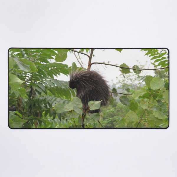 Item preview, Porcupine in a Tree designed and sold by toolsmith.