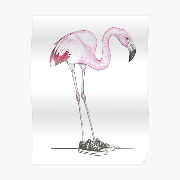 Flamingo in No-tie Low Tops Poster