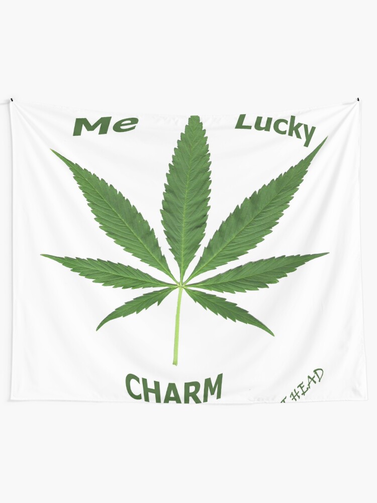 Lucky charm plant