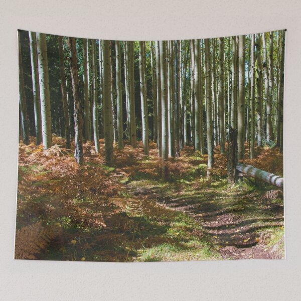 Item preview, Arizona trail passage image designed and sold by Thomas Dossman.