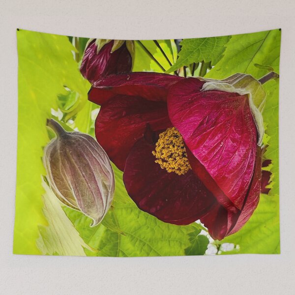 Item preview, Tender Maroon Flowering Maple  designed and sold by Photomersion.