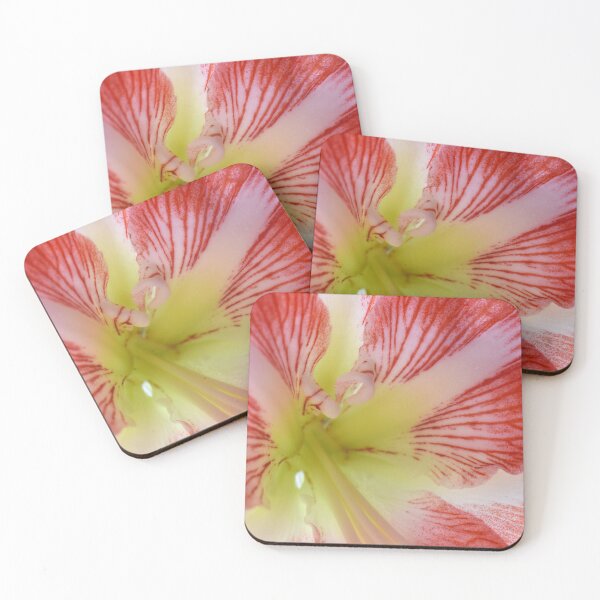 Item preview, Amaryllis Up close designed and sold by HereForTheShots.