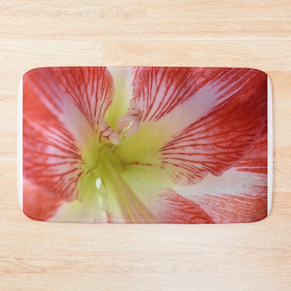 Item preview, Amaryllis Up close designed and sold by HereForTheShots.