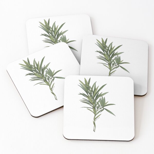 Item preview, Watercolor illustration, podocarpus branch, green leaves designed and sold by Malu-Iriarte.