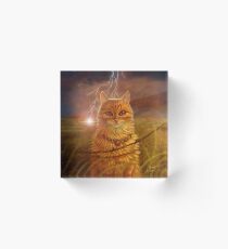 Wildfire Acrylic Block