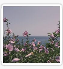 Flowers by the beach Sticker