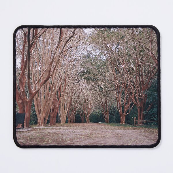 Item preview, Redwoods designed and sold by HereForTheShots.
