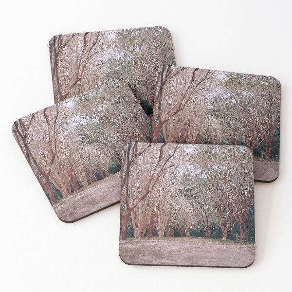 Item preview, Redwoods designed and sold by HereForTheShots.