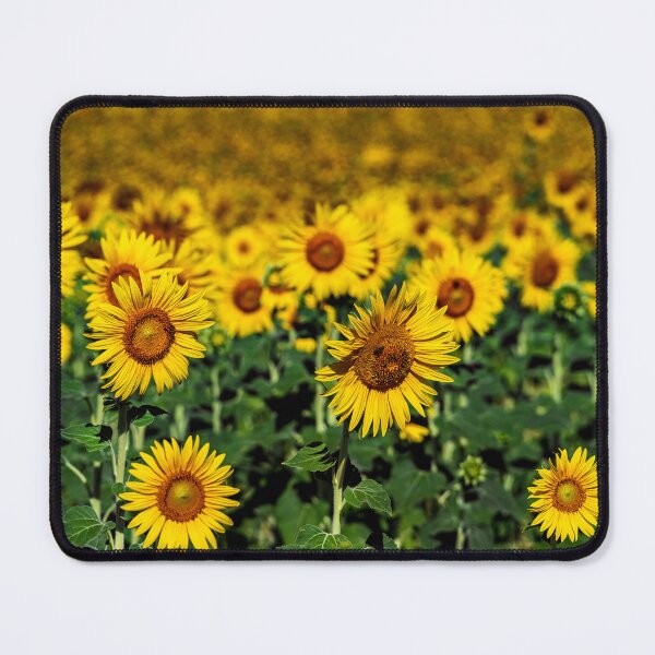 Item preview, Fields of Sunflowers designed and sold by Dave Williams.