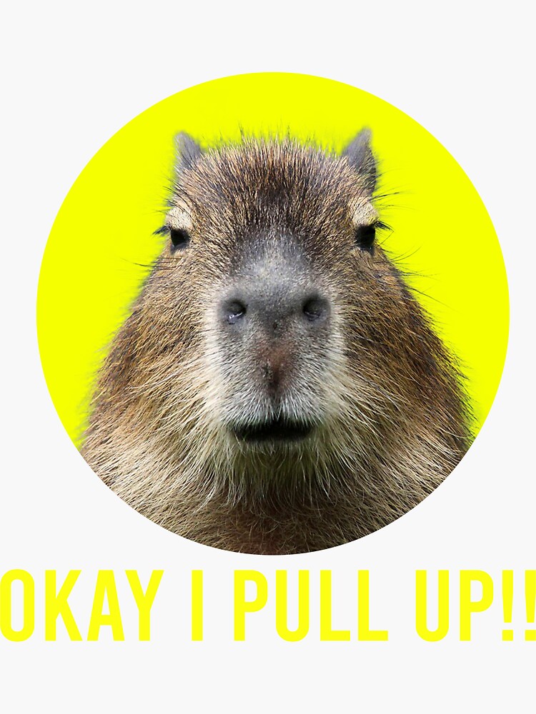 ok-i-pull-up-svg-ok-i-pull-up-capybara-svg-funny-capybara-etsy