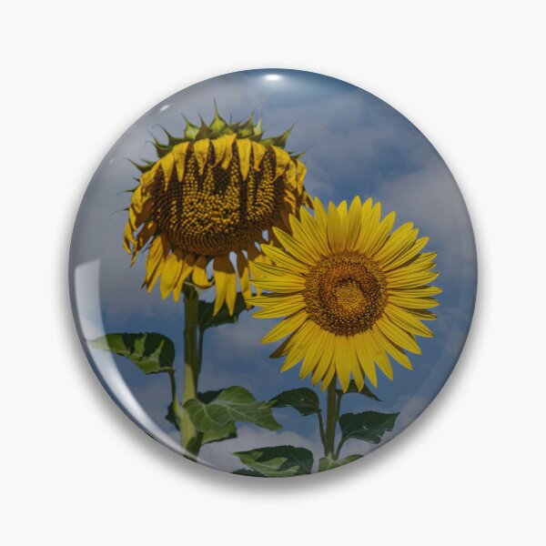 Item preview, Sunflowers of France designed and sold by Dave Williams.