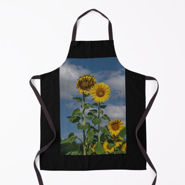 Item preview, Sunflowers of France designed and sold by Dave Williams.