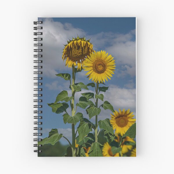 Item preview, Sunflowers of France designed and sold by Dave Williams.