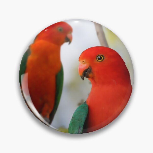Item preview, Beautiful Red King Parrots, stunning Australian Birds designed and sold by Orianah.