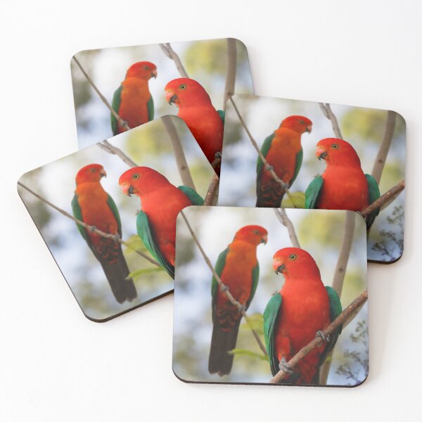Item preview, Beautiful Red King Parrots, stunning Australian Birds designed and sold by Orianah.