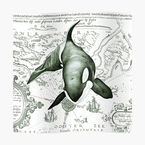 Orca Vintage Map Green Poster