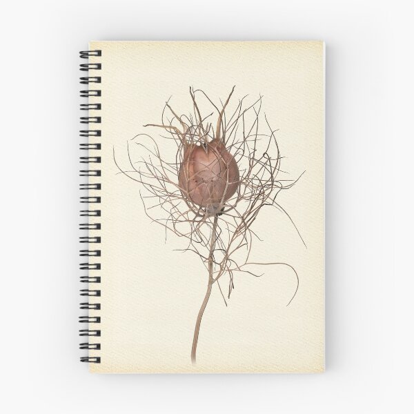 Item preview, Nigella damascena designed and sold by hanspeters.
