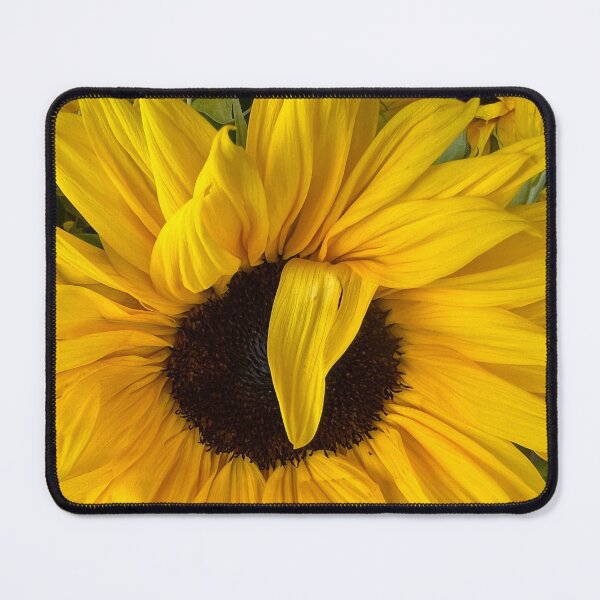 Item preview, Sunflowers for Peace and a Humanitarian World designed and sold by Photomersion.