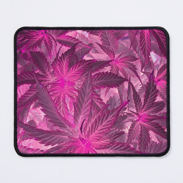 Item preview, Granddaddy perks pink designed and sold by CannaGranny™ .