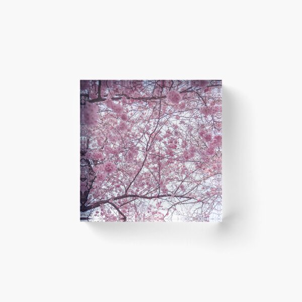 Item preview, Trees with Pink Flowers designed and sold by Alexandra Rty.
