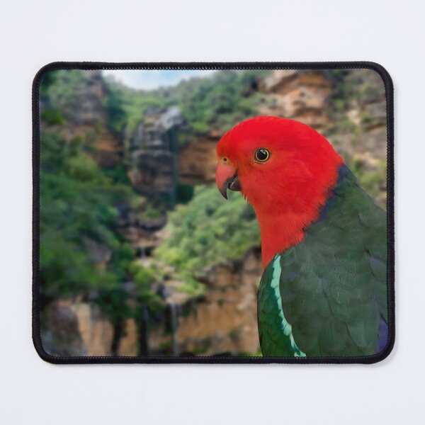Item preview, Beautiful Red King Parrot, stunning Australian Bird, backdrop Wentworth Falls, Blue Mountains Australia designed and sold by Orianah.