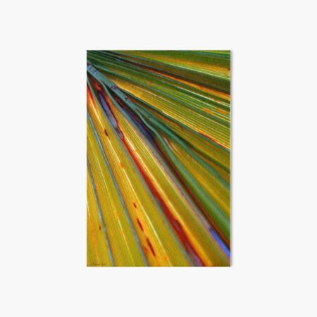 Over the Rainbow Art Board Print
