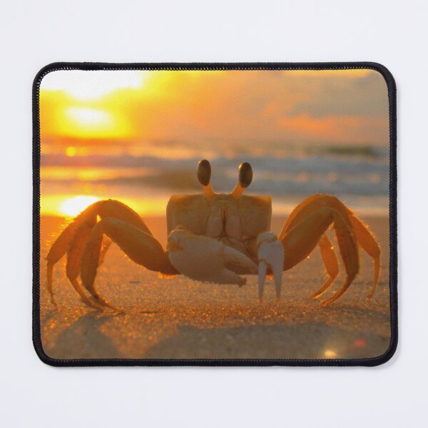Item preview, Funny Crab designed and sold by laugh-out-loud.