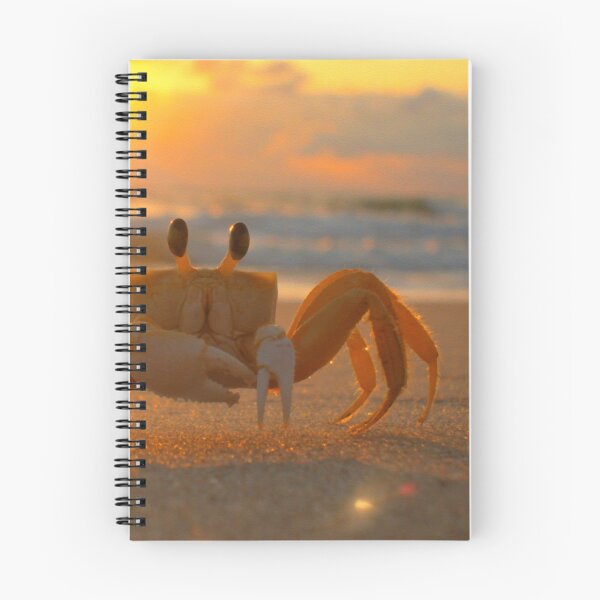 Item preview, Funny Crab designed and sold by laugh-out-loud.