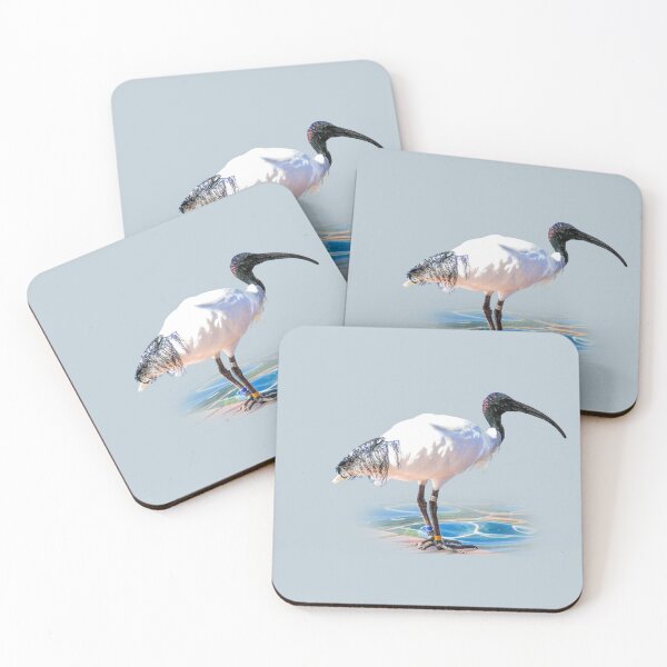 Item preview, Australian white ibis designed and sold by indiafrankk.