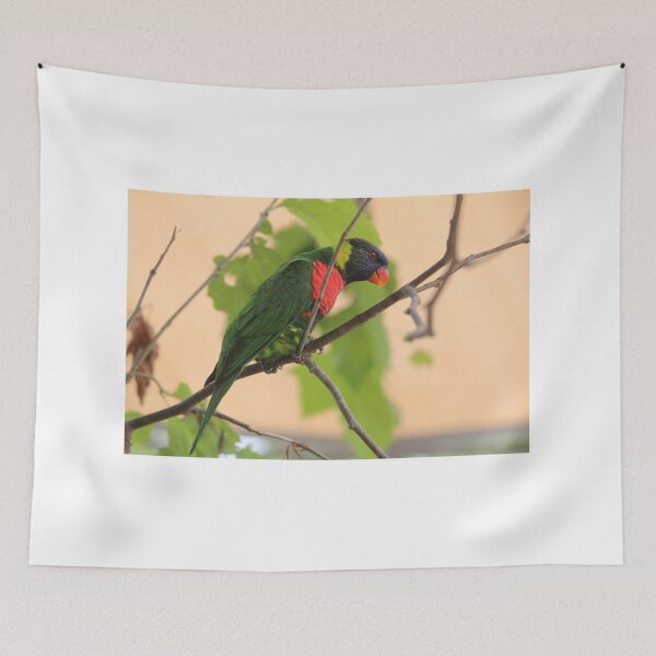 Item preview, Rainbow Lorikeet designed and sold by Cynthia48.