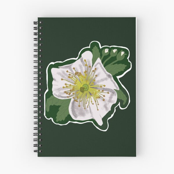 Item preview, Blackberry  bramble blossom hand drawn designed and sold by Jodi Mahaffey.