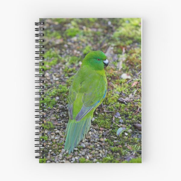 Item preview, Antipodes Island Parakeet designed and sold by Jade Welch.