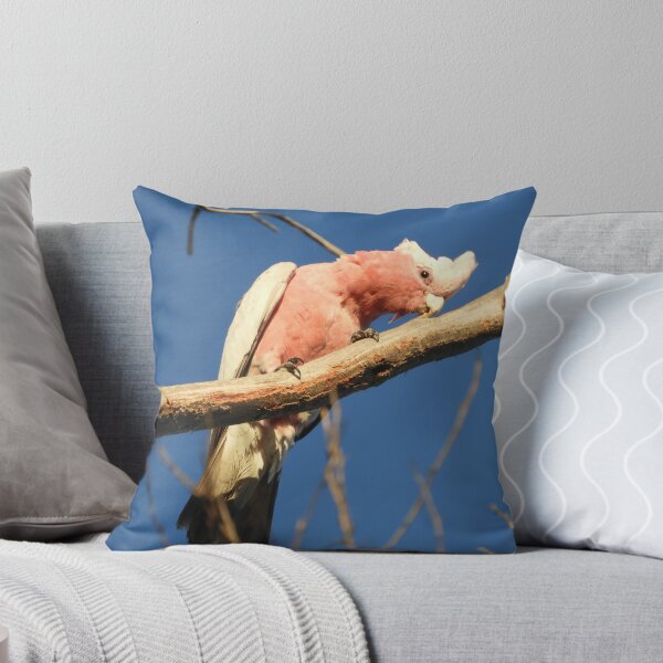 Item preview, Pink Galah designed and sold by indiafrankk.
