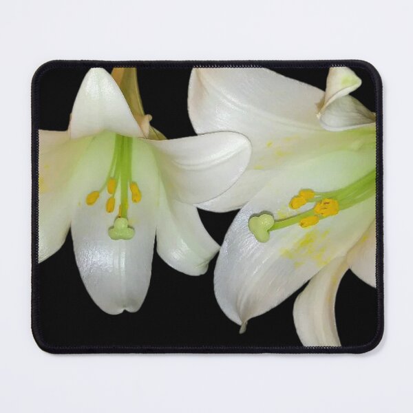 Item preview, English Lilly Lovelies designed and sold by EnticingRose.