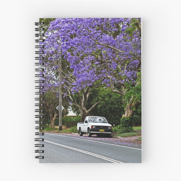 Item preview, Jacaranda In Bloom designed and sold by Evita.